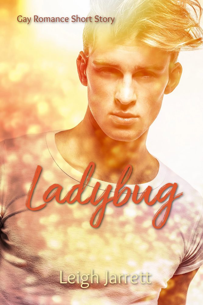 Ladybug: MM Romance Short Story
