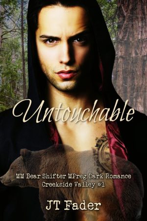 Untouchable: Creekside Valley - Book 1: MM Shifter Romance